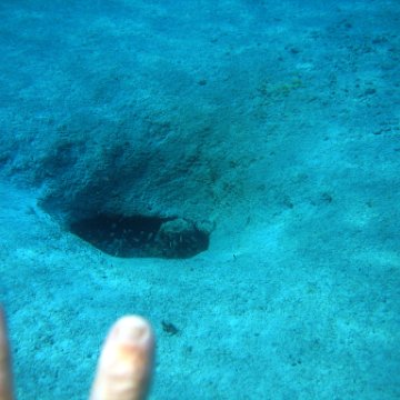 IMG_9158 IMG_9158