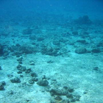 IMG_9163 IMG_9163
