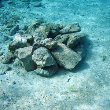 IMG_9164 IMG_9164
