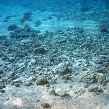 IMG_9168 IMG_9168