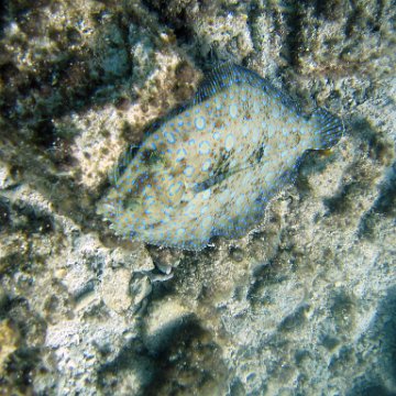 IMG_9170 IMG_9170