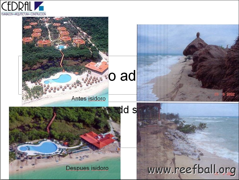 isadoradamagecozdecral