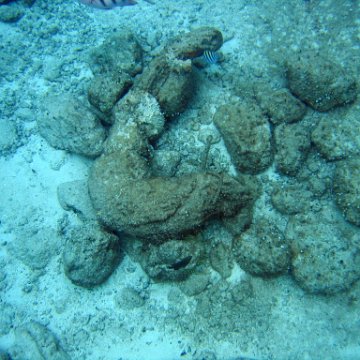 IMG_9077 IMG_9077