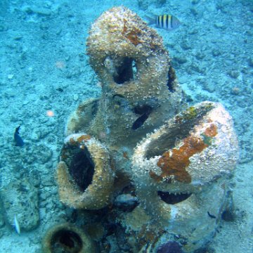 IMG_9083 IMG_9083