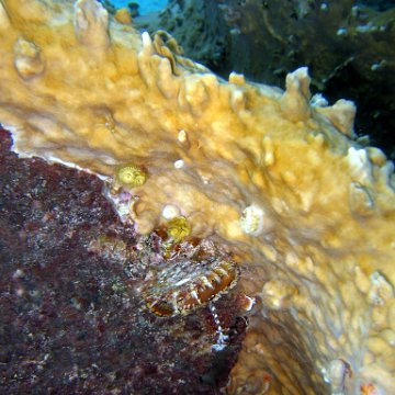 IMG_9087 IMG_9087