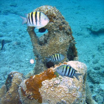IMG_9094 IMG_9094