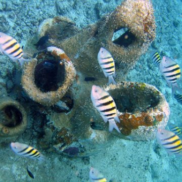 IMG_9095 IMG_9095