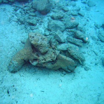 IMG_9099 IMG_9099