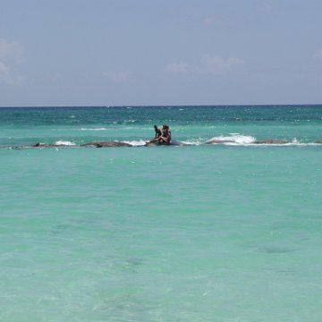 p9013253 p9013253