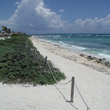 p9013261 p9013261