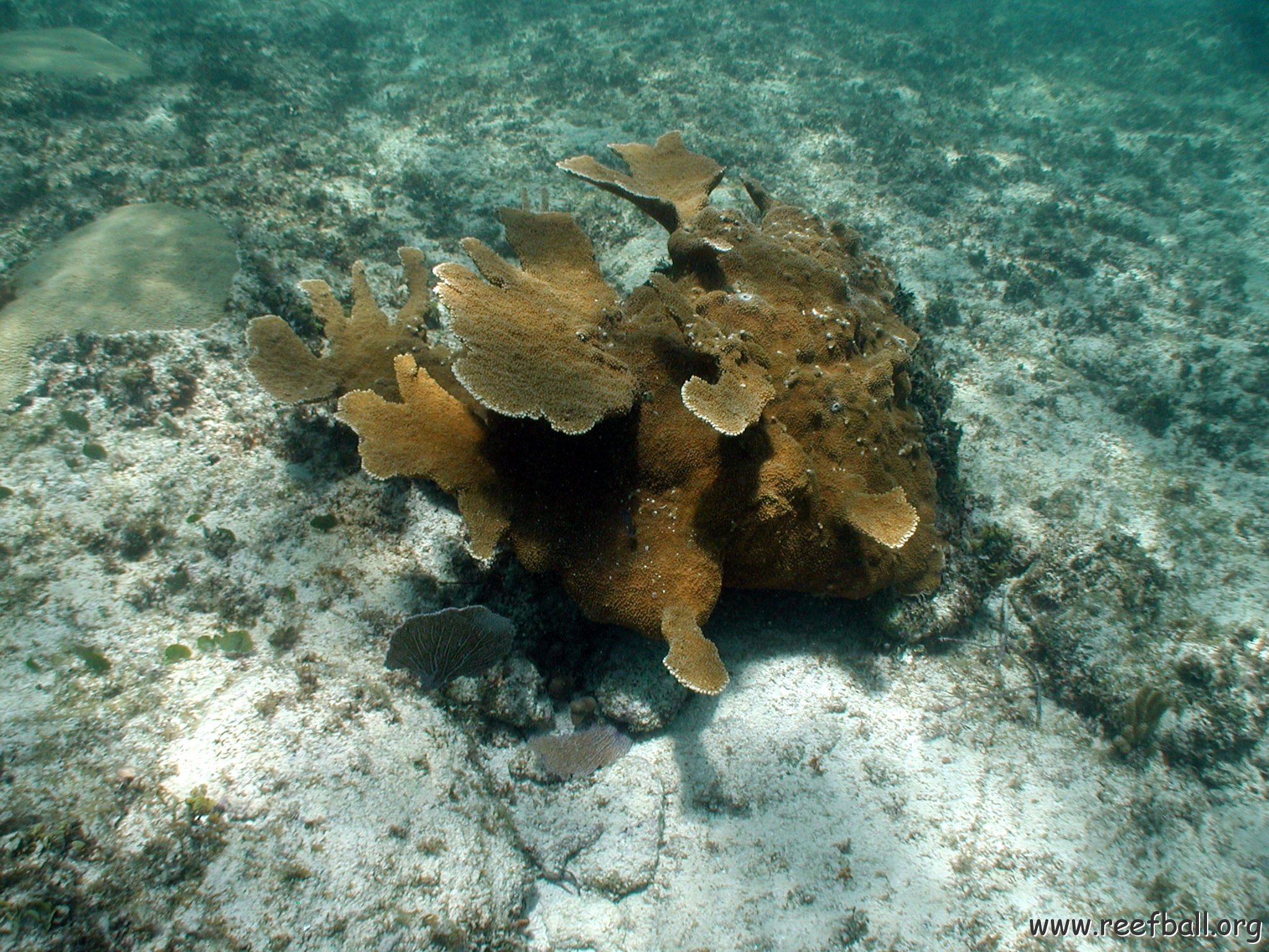 p9033404