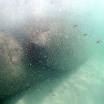 p9033375 p9033375