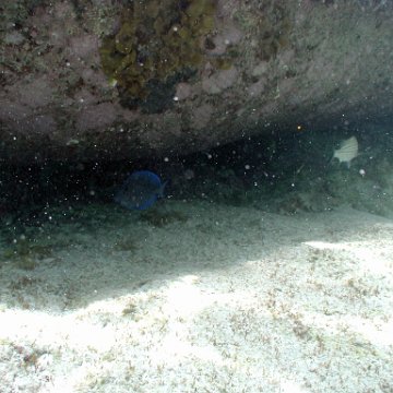 p9033383 p9033383
