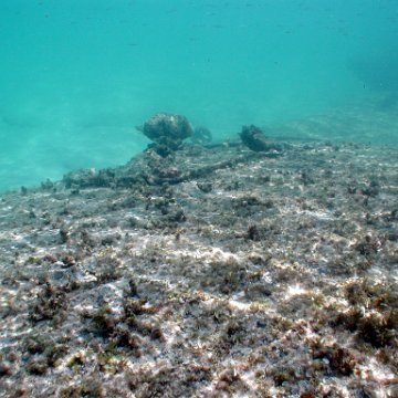 p9033392 p9033392