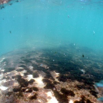 p9033396 p9033396