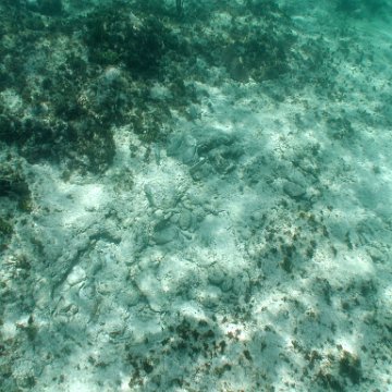 p9033399 p9033399