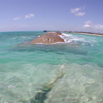 p8313122 p8313122