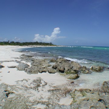 p8313155 p8313155