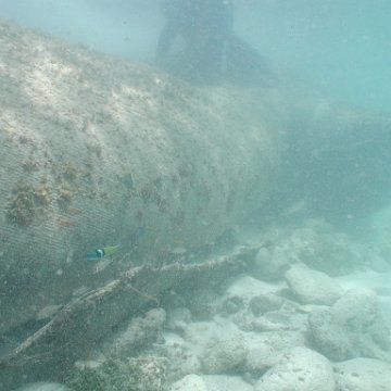 p8313128 p8313128