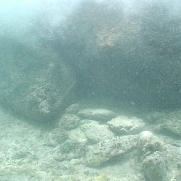 p8313130 p8313130