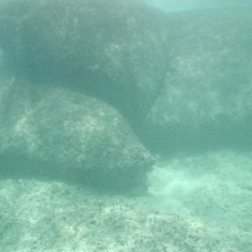 p8313131 p8313131