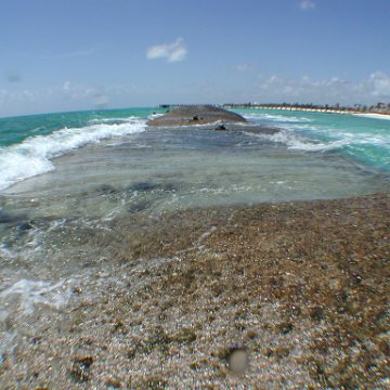 p8313132 p8313132