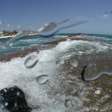 p8313133 p8313133