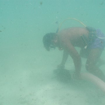p8313140 p8313140