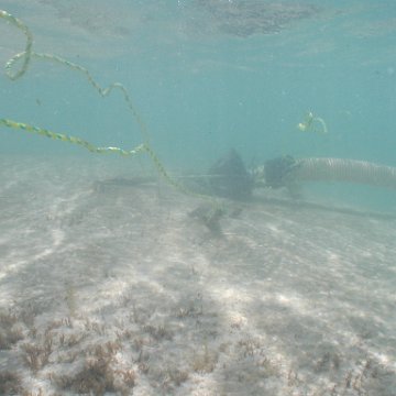 p8313149 p8313149