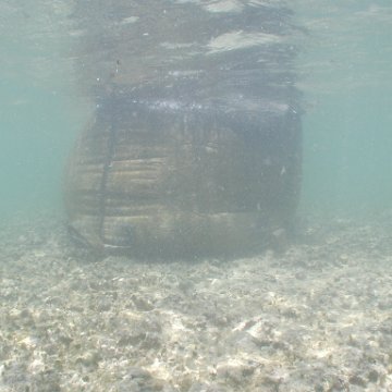 p8313151 p8313151