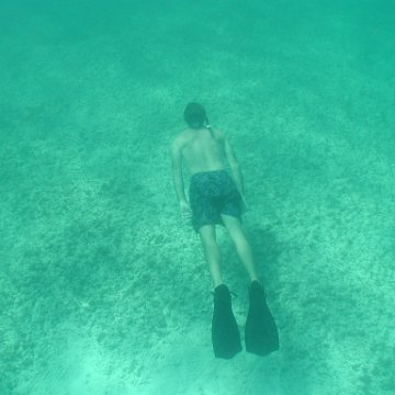 p8313168 p8313168