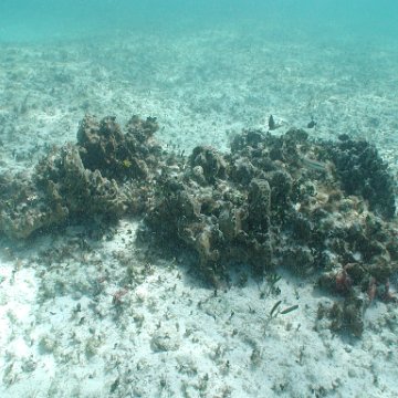 p8313169 p8313169
