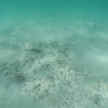 p8313170 p8313170