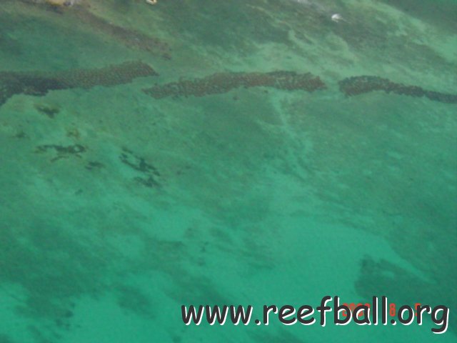 fotosareas mayanpalace 020