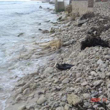 Playa Secreto 022 Playa Secreto 022