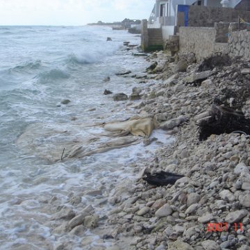 Playa Secreto 023 Playa Secreto 023