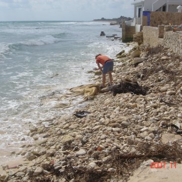 Playa Secreto 025 Playa Secreto 025