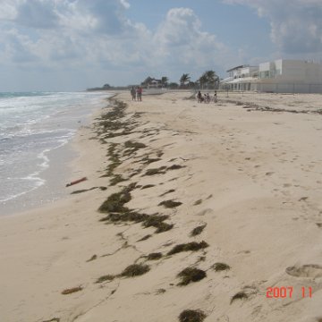 Playa Secreto 033 Playa Secreto 033