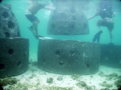 Breakwater Reef Ball