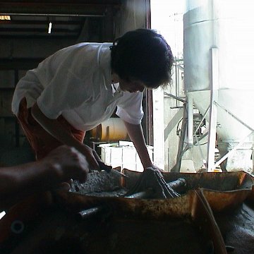 dsc00004 dsc00004