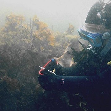 Nova Scotia, Canada Reef Ball Projects and Photos