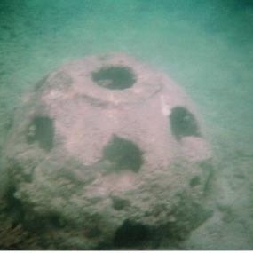 Puerto Rico Reef Ball Projects and Photos