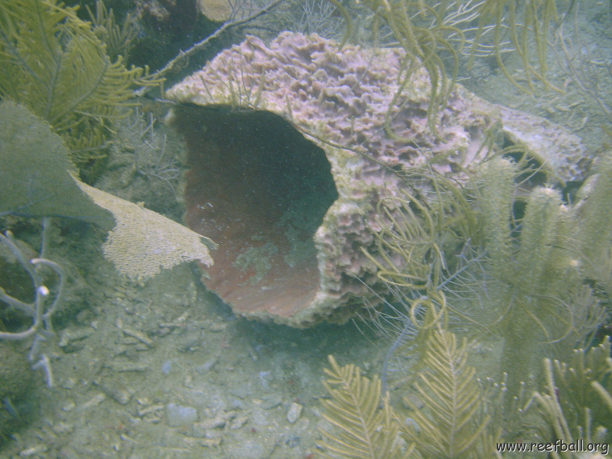 DSC05631