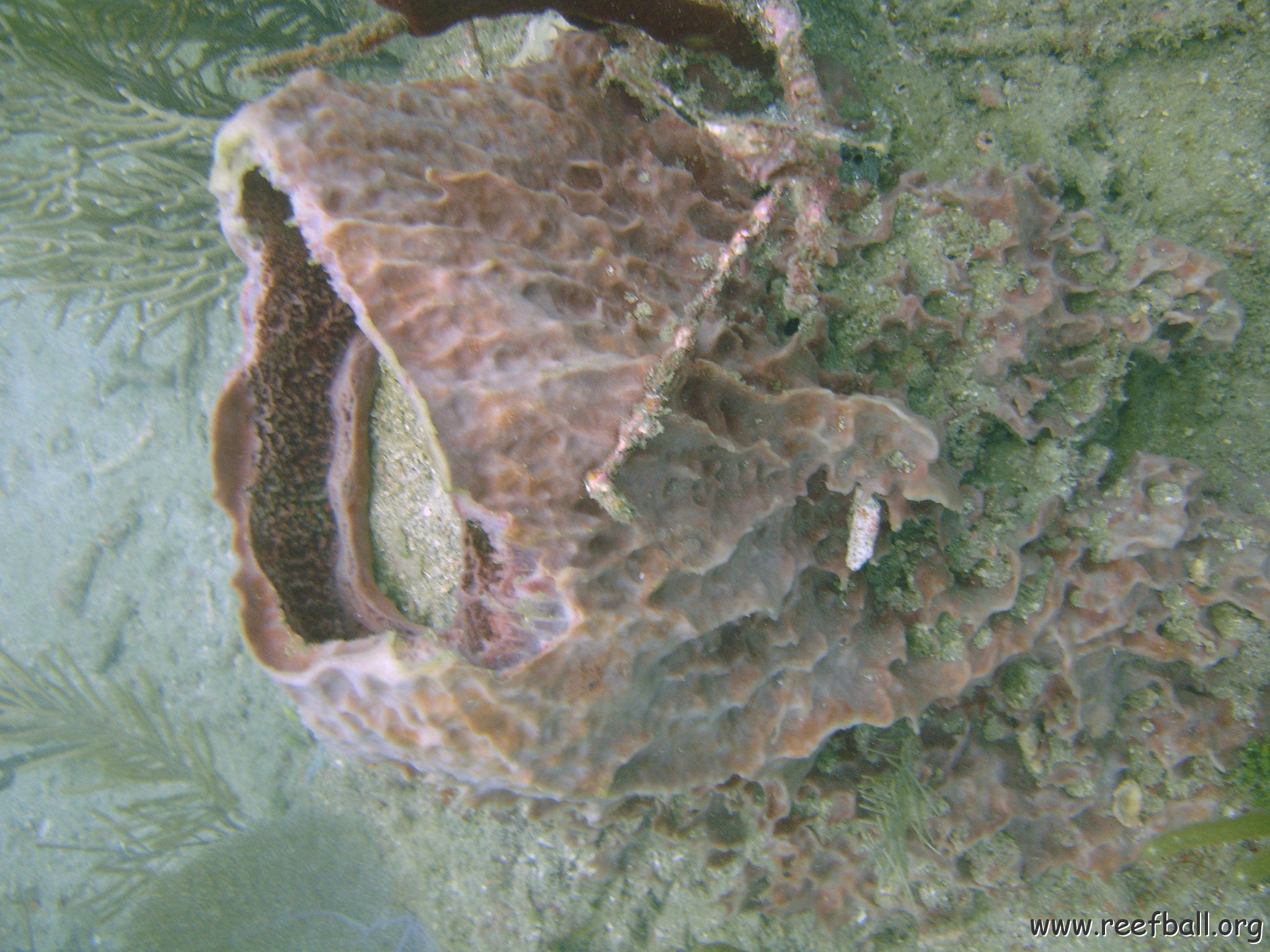 DSC05633