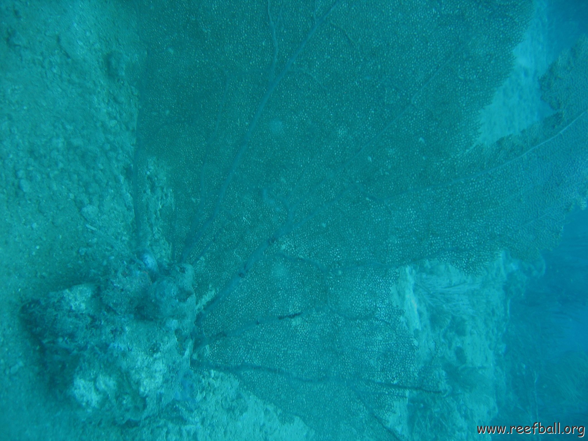 fromcameramargartagrounding 033