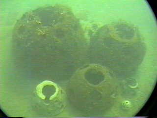 All 6 Reef Ball Sizes