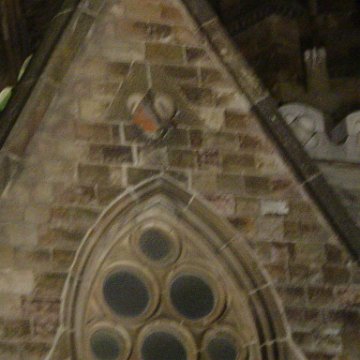 dsc03592 dsc03592