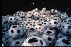 Millones de Reef Balls