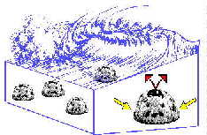 Graphical Representation Of Water Flow Through Reef Ball