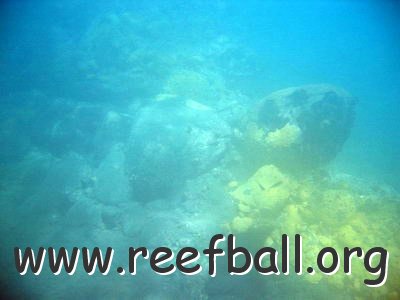 2004may_statia_358_resize